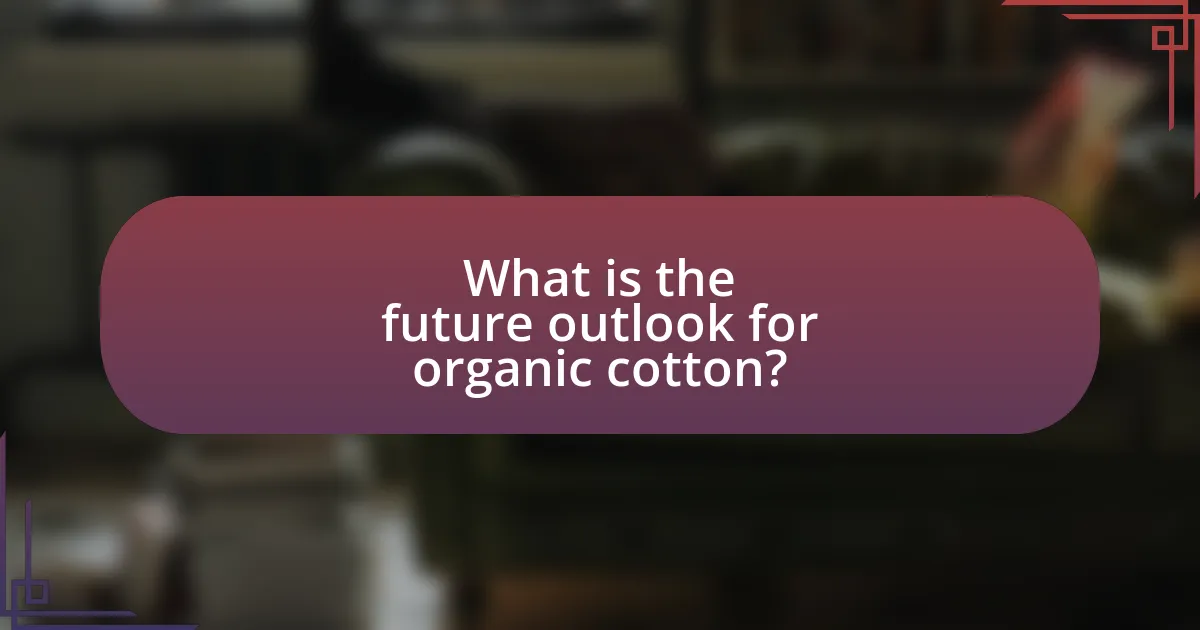 What is the future outlook for organic cotton?